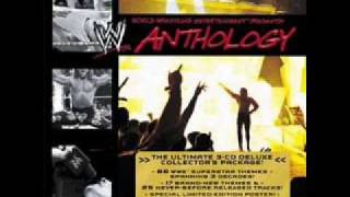 WWE  Anthology Mash Up [upl. by Fowler508]