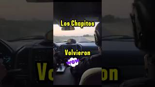 Los chapitos llegan a Sinaloa narcosmexico narcos loschapitos sinaloa culiacan durango lpm [upl. by Shep]