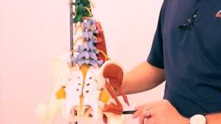 Airrosti Treatment Sciatica Pain [upl. by Novaat202]