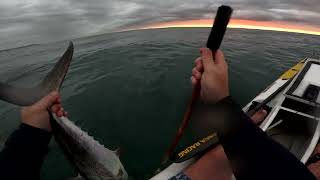 Snoek amp Kingfish early morning fish [upl. by Spalla]