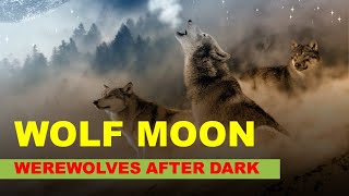 Werewolves After Dark Wolf Moon Wolf Attack [upl. by Ardnasirk]