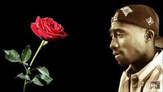 2pac little do you know  sad love song [upl. by Anitsirt]