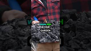 Why Charcoal Belongs In Your Garden  growth biochar garden ash gardening farm farmer [upl. by Kane]