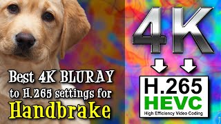 Best Optimal Handbrake Settings to convert 4K BLURAY to H265 HEVC on Mac Windows Linux  JULY 2023 [upl. by Livvi]