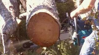 Makita 90cc Chainsaw First Cuts [upl. by Kenay]