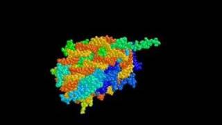 nucleosome [upl. by Vivyanne]