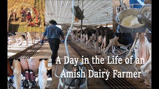 A Day in the LIFE of An AMISH DAIRYMAN During Fall Harvest in Lancaster County PAs Amish Country [upl. by Placidia]