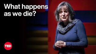 What Happens As We Die  Kathryn Mannix  TED [upl. by Nosecyrb263]