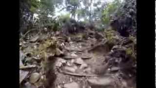 Trail running Cerro Chirripo Costa Rica [upl. by Iahc634]