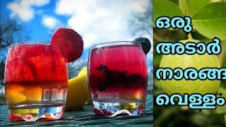 Summer drinks in malayalam  Lemonade  juice recipes in malayalam  naranga vellam recipe [upl. by Retluoc185]