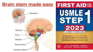 Brain stem Ventral view FIRST AID USMLE STEP 1 [upl. by Philis]