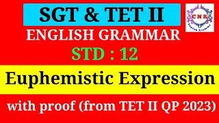 SGT  TET I amp II  English Grammar  Euphemistic Expressions  with Proof  TET II QP  STD 12th [upl. by Glenden]