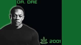 Dr Dre  Chronic 2001 Full Instrumental Album Vinyl Rip [upl. by Yleik]