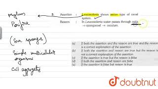 Assertion  Leucosolenia shows ascon type of canal system [upl. by Koran]