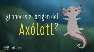 El origen del Axólotl [upl. by Cantu]