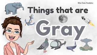 THINGS THAT ARE GRAY  Learning Colors for Kids  Gray Color Objects [upl. by Materse]