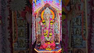 हमारे गुरुकुल के बाप्पा  सूरत गुरुकुल  गणेशचतुर्थी2024 ganeshchaturthi ganesh [upl. by Yattirb]