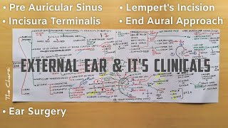 External Ear  2 Auricle  Lemperts Incision Incisura Terminalis Pre Auricular Cyst   TCML [upl. by Ruamaj921]