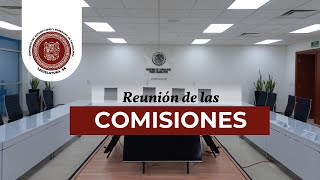 ReuniónComisión Gobernación Igualdad viernes 15 de noviembre de 2024 1130 hrs Legislatura66 [upl. by Blayne]