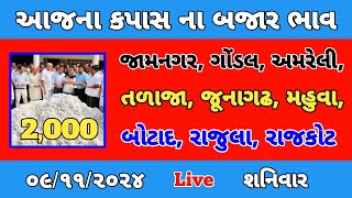 આજના કપાસ ના ભાવ  કપાસ ના બજાર ભાવ  cotton crop price  aaj na kapas na bhav jasdan 09112024 [upl. by Nnaillij]