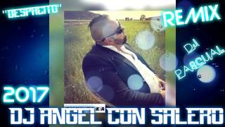 DJ PASCUAL 2017 DESPACITO PASITO A PASITO REMIX DJ ANGEL CON SALERO [upl. by Petulia]