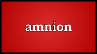 Amnion Meaning [upl. by Malone145]