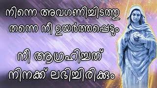 നീ വിജയിക്കും പരിശുദ്ധ അമ്മയുടെ ശക്തി നീ ഇന്ന് കാണും [upl. by Enyehc]