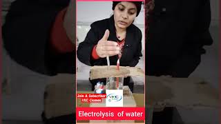 Electrolysis of water vkcclasseselectrolysis using salt electrolysis of water at Home [upl. by Anin]