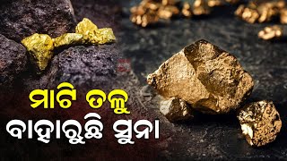 ମାଟି ତଳୁ ବାହାରୁଛି ସୁନା  Gold mines  keounjhar  Odisha  News Room [upl. by Farny]