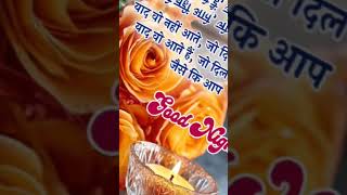 video hindisong sayri hone tere bare channel wala Aasif yesa kaha [upl. by Stelmach]