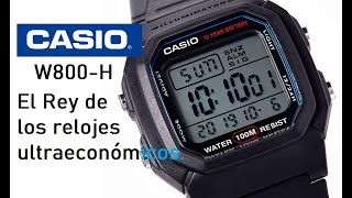 Reseña reloj casio W800H El Rey de los relojes ultraeconómicos [upl. by Pfister]