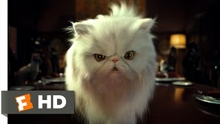 A Dogs Way Home 2018  Big Kitten Scene 210  Movieclips [upl. by Mae]