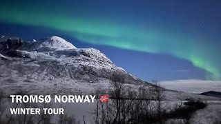 TROMSØ NORWAY 🇳🇴 WINTER TOUR CHASING NORTHERN LIGHTSSILENT WHALE WATCHING amp MORE [upl. by Zehc286]