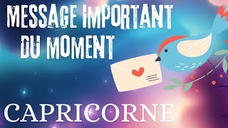 CAPRICORNE ♑️ MESSAGE IMPORTANT DU MOMENT 🔮💫 [upl. by Shel8]