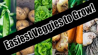 Top 6 Easy To Grow Vegetables For BeginnersSEED TO HARVEST [upl. by Ailasor]