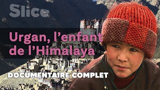 Un voyage vers léveil  SLICE  DOC COMPLET [upl. by Hanimay]