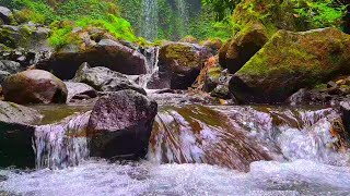 Relaxing waterfall sounds  babbling brook sounds for sleeping reduce stress and pampers the soul [upl. by Farant183]