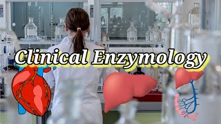 Clinical Enzymology clinical enzymes Clinical applications of enzymes [upl. by Snodgrass170]