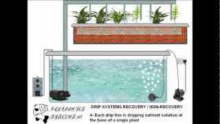 Hydroponics Drip System [upl. by Saddler]