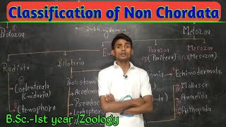 Lc5Classification of non chordata BSc1st year Zoology by Prahalad Sir [upl. by Nevarc]