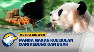 Metro Xinwen  Panda Makan Kue Bulan Dari Rebung dan Buah [upl. by Herbie244]