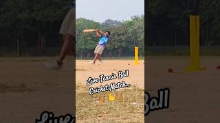 LIVE TENNIS BALL CRICKET MATCH🏏SIXlivecricketmatchtoday tennisballcricket tenniscricket cricket [upl. by Auoz750]