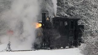 Day 0 of quotThe Grand Reunionquot at the Wiscasset Waterville amp Farmington Railway Museum 4K [upl. by Sillad]