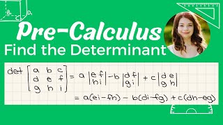 Determinant of a 3x3 matrix [upl. by Anatnom962]