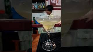 Bartending Class Demo Cocktails bartender drink shorts subscribe [upl. by Jarrid]