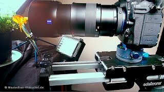 Zeiss Milvus 2100 Macro Video Recording test 130 [upl. by Nahtonoj]