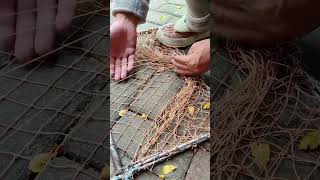 Catching chickens is so simple Chicken catching tool chicken catching net pigeon catching net [upl. by Ahsined]