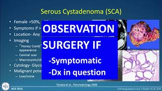 Pancreatic Cysts – Making Sense of Differing Guidelines [upl. by Sandye]