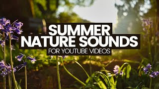 Nature Sound Effects For YouTube Videos No copyright Royaltyfree audio [upl. by Honniball]