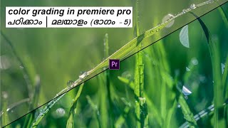 Color grading in adobe premiere pro part5 Malayalam Tutorial  Color Wheels amp vignette explained [upl. by Kensell]